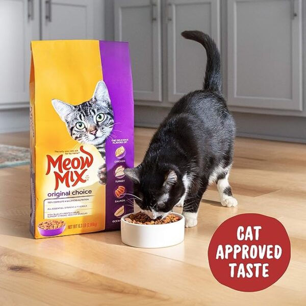 Meow Mix Original Choice Dry Cat Food - Image 3